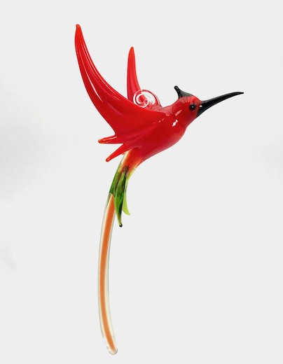 Kolibri rot:orange