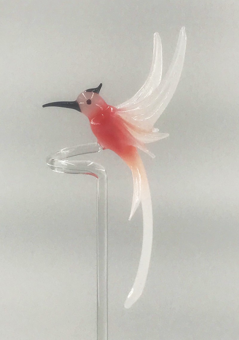 o-stab kolibri rosa
